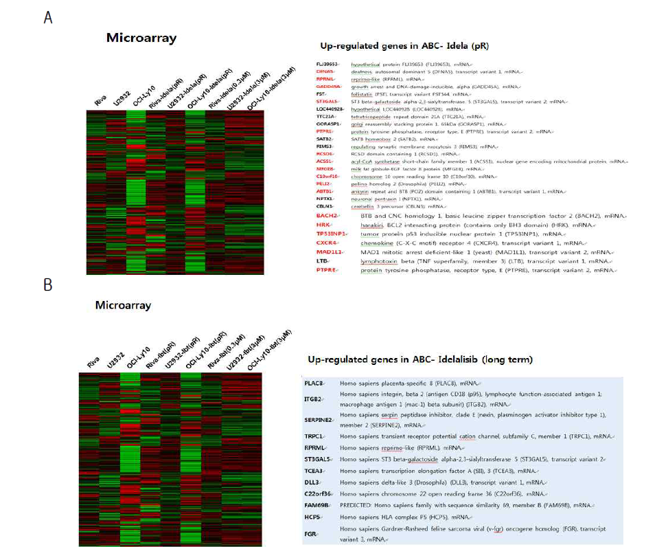 내성 유전자 탐색을 위한 cDNA microarray