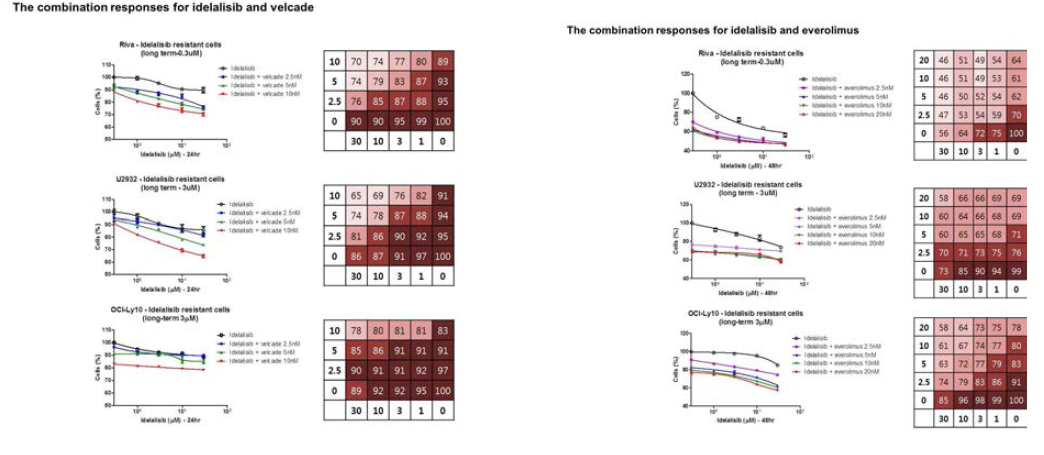 Idelaisib-R 세포주에서 Idelalisib 과 velcade / everolimus 동시 처리 시 생장 반응 관찰