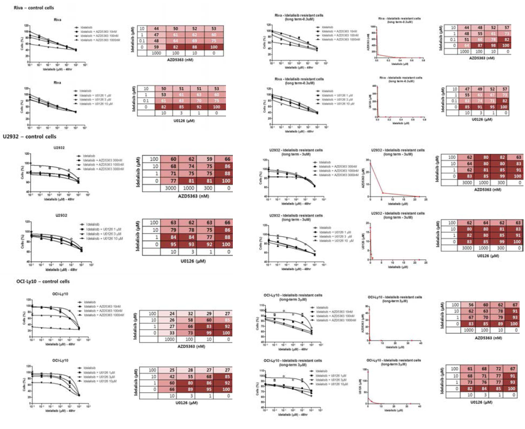 Idelaisib-R 세포주에서 Idelalisib 과 AZD5363 / U0126 동시 처리 시 생장 반응 관찰