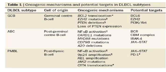 DLBCL 종류에 따른 표적 유전자 항암 기전