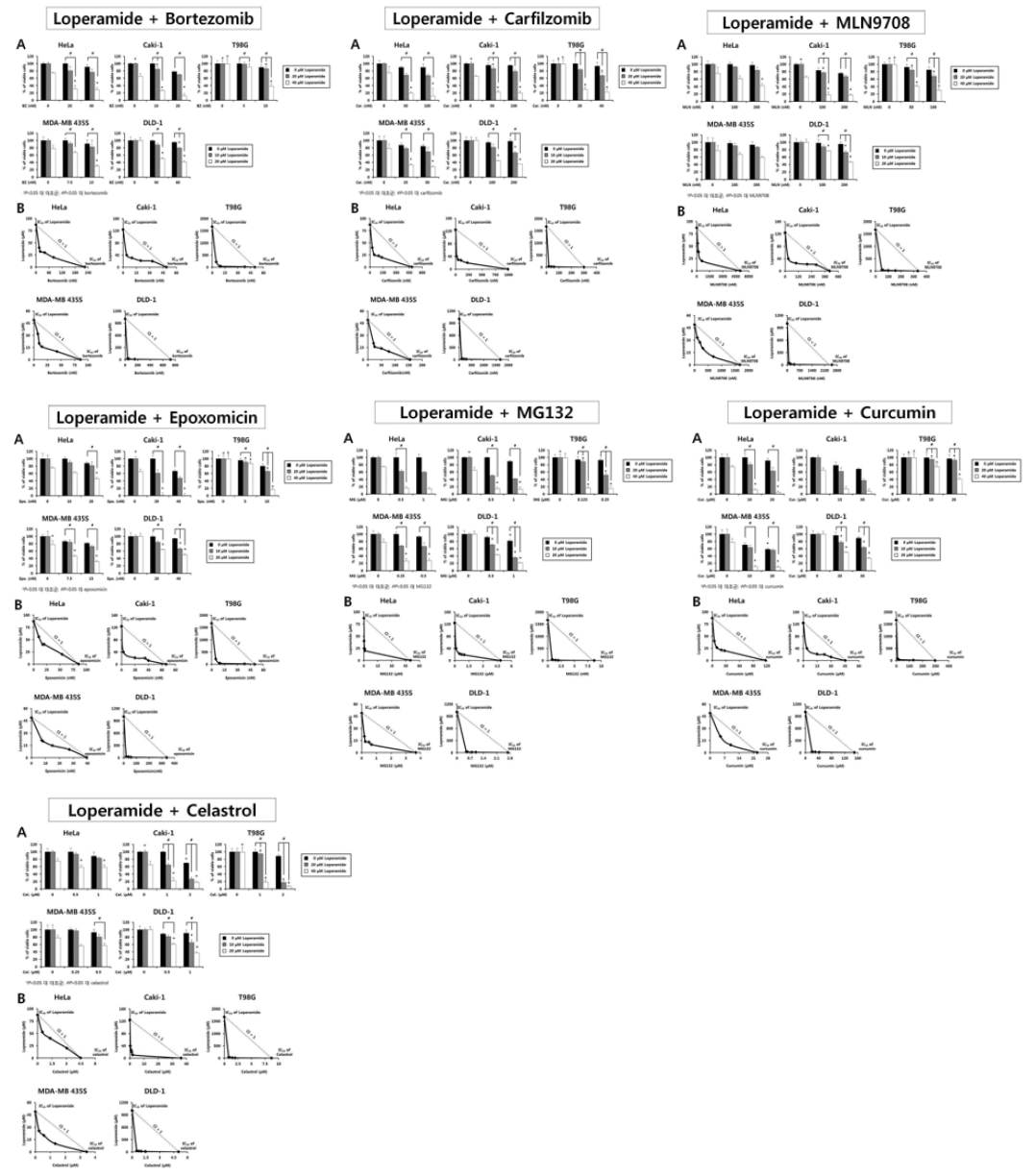 Loperamide와 proteasome inhibitor 병합처리에 의한 세포사멸 유도