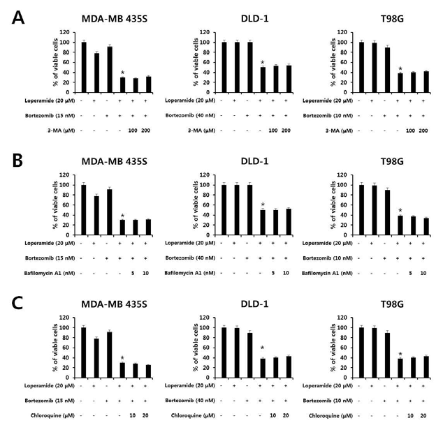 Loperamide와 bortezomib 병합처리에 의한 세포사멸 시 autophagic cell death 관련성 분석