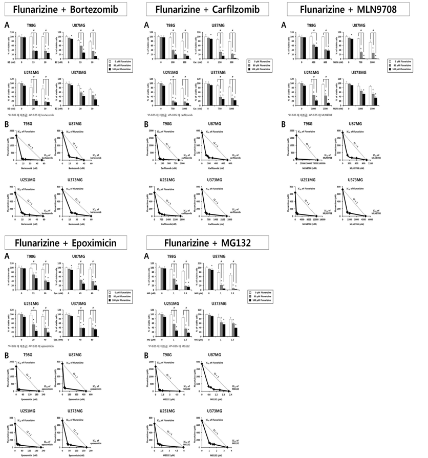 Flunarizine과 proteasome inhibitor 병합처리에 의한 세포사멸 유도