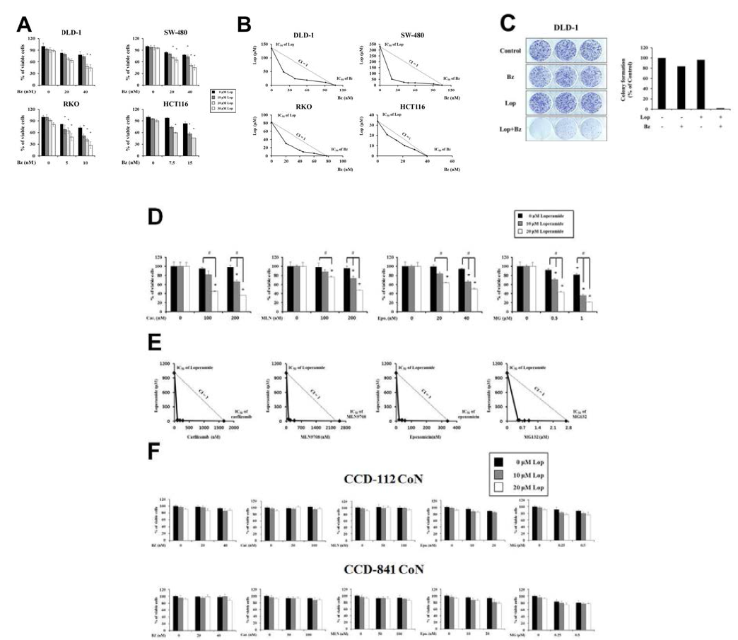 Loperamide와 bortezomib의 병합 처리가 다양한 colon cancer 세포와 colon 정상 세포에 미치는 효과