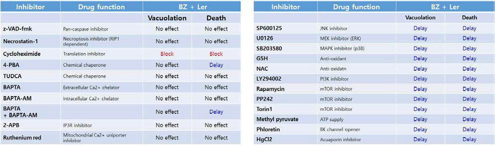 Lercanidipine과 bortezomib 병합 처리에 의한 세포사멸에 대한 각종 inhibitor의 효과 요약