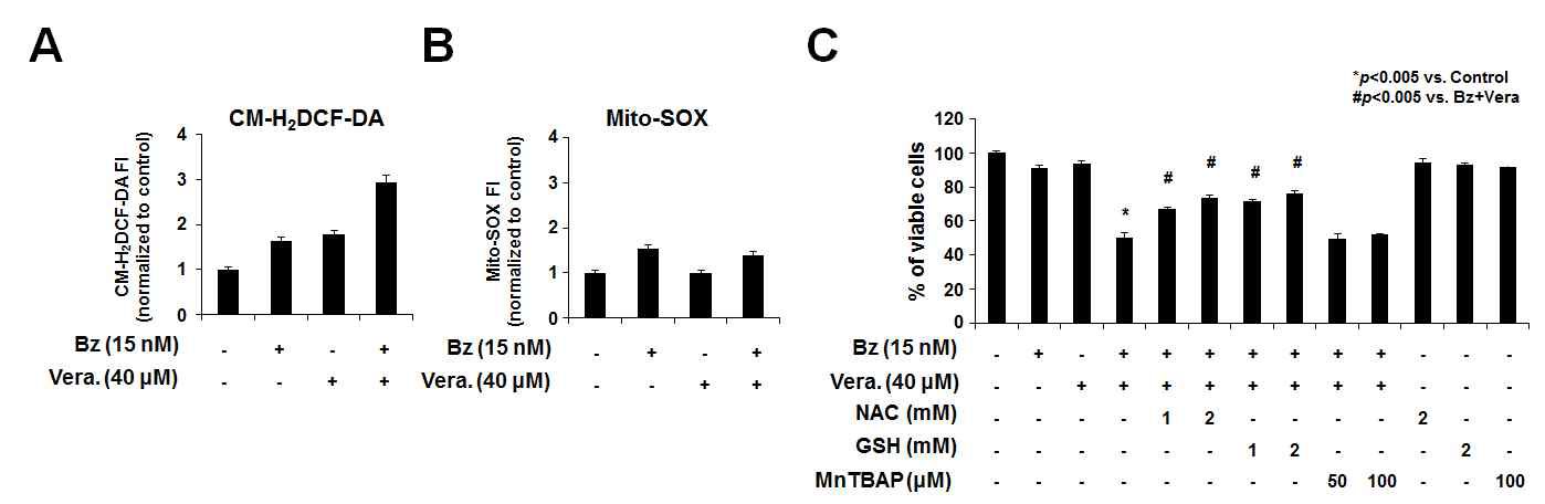 Verapamil과 bortezomib 병합 처리에 의한 paraptosis-like cell death 유도 과정에서 ROS의 중요성