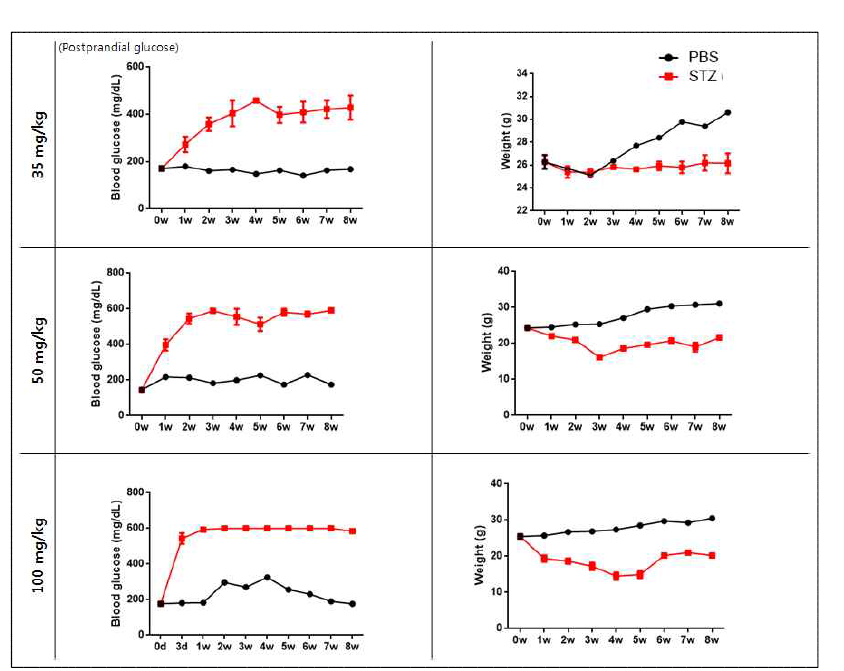 마우스에 STZ 투여 과정에서 STZ 투여 농도가 체중 및 혈당에 미치는 영향