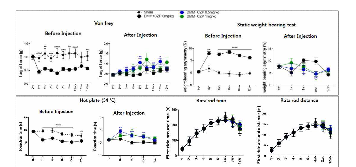 12주간 CPZ(5회/주) 투여 전후의 통증 비교 (hot plate & rotarod test)