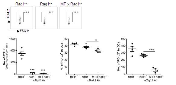 CRS 환자에서 mast cell과 Th2 및 Th17 세포 반응 연관성