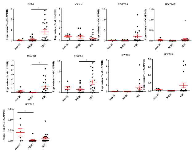 Shh-WNT-GF pathway 관련 유전자들의 발현 변이를 측정