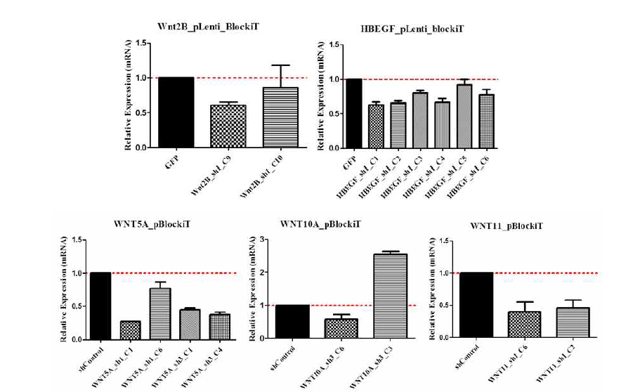 pLenti 6.2 v5 WNT2B shRNA qPCR결과