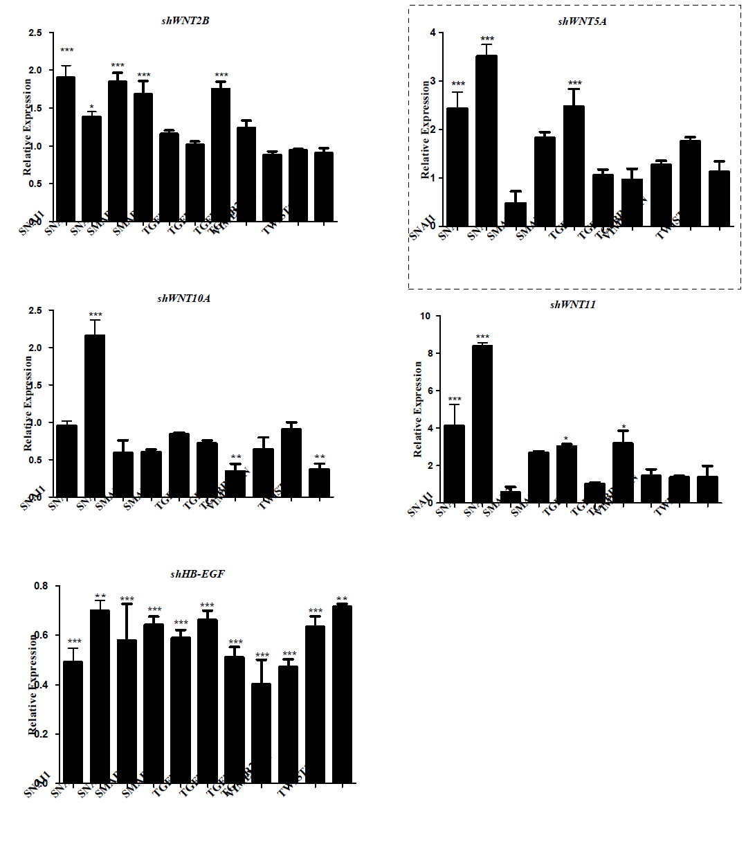 Fibrosis 관련 유전자의 발현 qRT-PCR 결과