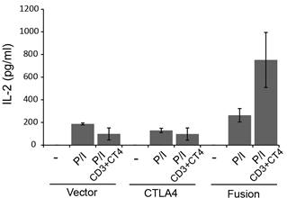 Jurkat 세포주에서 CTLA4 자극에 따른 IL-2의 발현량을 ELISA를 통해 분석