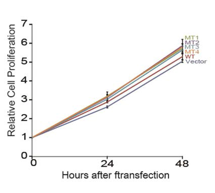 BJAB내에서 TBL1XR1의 발현에 따른 proliferation 비교