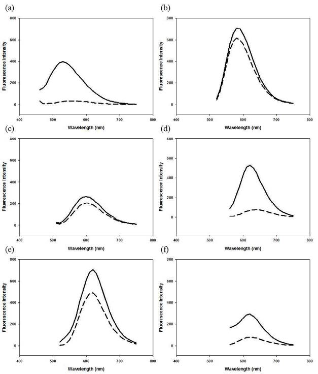 The fluorescence intensities of (a) curcumin and (b–f) curcumin derivatives (6a–6e) (dashed line: without tau aggregate, solid line: with tau aggregate) upon interaction with aggregated tau