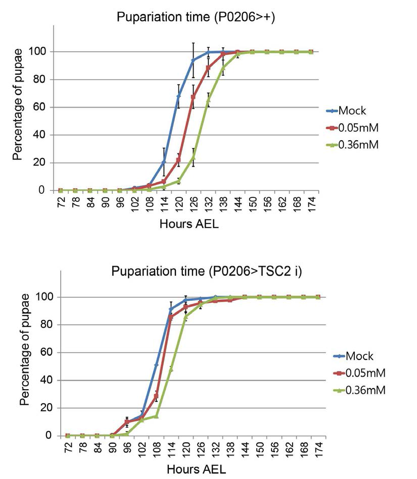 미노싸이클린 처리로 인해 늦어진 pupa 형성이 prothoracic gland 특이적으로 토르 신호를 활성화 할 시 rescue 됨을 확인