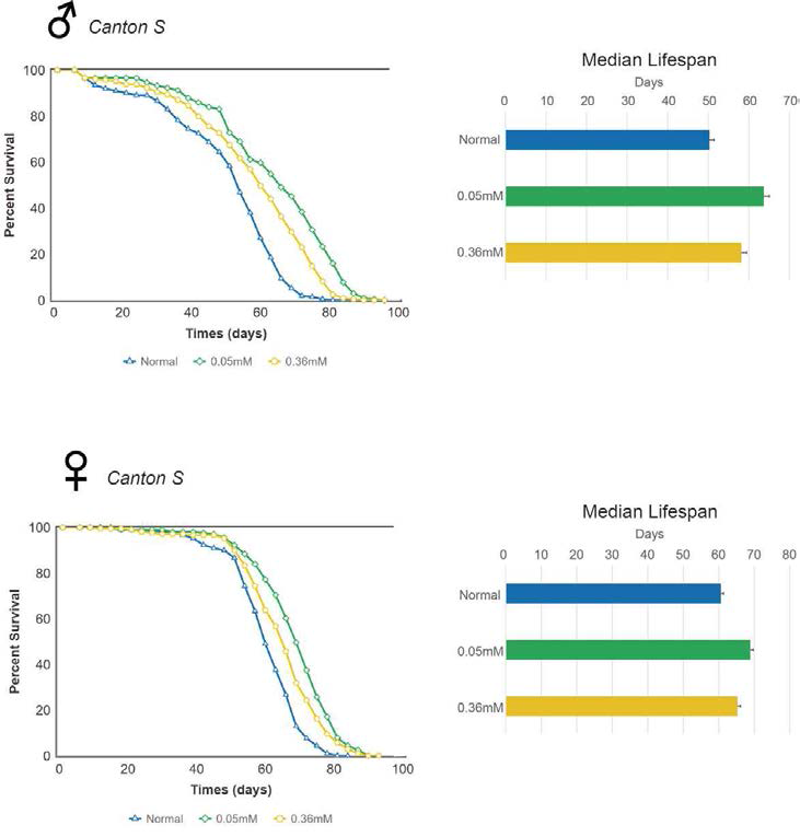 Canton S 성충 초파리에 미노싸이클린을 먹이면 암수 초파리 모두에서 수명연장 효과가 나타남