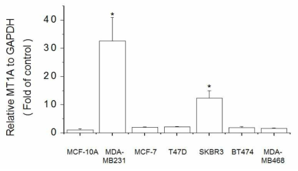 Expression of MT1A in breast cell lines. The cells were lysed and the total mRNA was analyzed by real time-PCR. PCR amplification was performed for each sample using primers specific for human MT1A and GAPDH. *p < 0.05 compared with MCF-10A