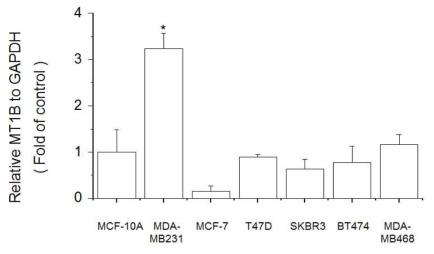 Expression of MT1B in breast cell lines. The cells were lysed and the total mRNA was analyzed by real time-PCR. PCR amplification was performed for each sample using primers specific for human MT1B and GAPDH. *p < 0.05 compared with MCF-10A