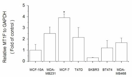 Expression of MT1F in breast cell lines. The cells were lysed and the total mRNA was analyzed by real time-PCR. PCR amplification was performed for each sample using primers specific for human MT1F and GAPDH. *p < 0.05 compared with MCF-10A