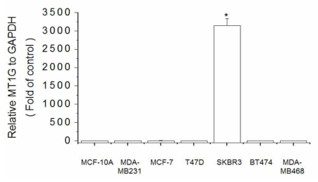 Expression of MT1G in breast cell lines. The cells were lysed and the total mRNA was analyzed by real time-PCR. PCR amplification was performed for each sample using primers specific for human MT1G and GAPDH. *p < 0.05 compared with MCF-10A