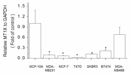 Expression of MT1X in breast cell lines. The cells were lysed and the total mRNA was analyzed by real time-PCR. PCR amplification was performed for each sample using primers specific for human MT1X and GAPDH. *p < 0.05 compared with MCF-10A