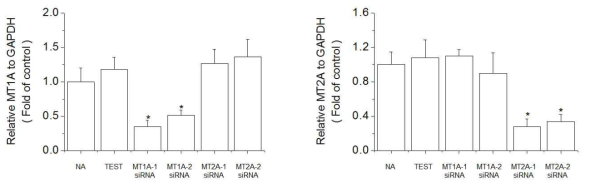 Expression of MT1A and MT2A in MCF-7 transfected with red fluorescent protein-MT1A and MT2A. Cells transfected with pERFP-MTs plasmid vector and/or MT siRNA plasmid vector. The cells were lysed and the total mRNA was analyzed by real time-PCR. PCR amplification was performed for each sample using primers specific for human MT1A, MT2A and GAPDH. *p < 0.05 compared with NA