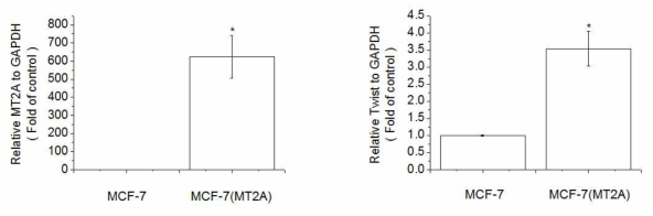 Expression of MT2A and Twist in MCF-7 transfected with red fluorescent protein-MT2A. Cells transfected with pERFP-MTs plasmid vector and/or MT siRNA plasmid vector. The cells were lysed and the total mRNA was analyzed by real time-PCR. PCR amplification was performed for each sample using primers specific for human MT2A, Twist and GAPDH. *p < 0.05 compared with NA