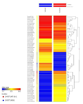 Clustering analysis-miRNA (MT-2A over expressing MCF-7 vs MCF-7)