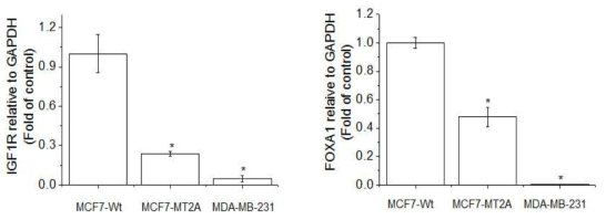 Expression of IGF1R and FOXA1 in MCF-7-wt, MT-2A overexpressing MCF-7, and MDA-MB-231. The cells were lysed and the total mRNA was analyzed by real time-PCR. PCR amplification was performed for each sample using primers specific for human IGF1R and FOXA1. *p < 0.05 compared with MCF-7-wt