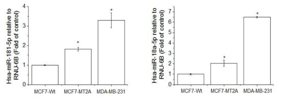 Expression of miR-181 and 18a in MCF-7-wt, MT-2A overexpressing MCF-7, and MDA-MB-231. The cells were lysed and the total miRNA was analyzed by real time-PCR. PCR amplification was performed for each sample using primers specific for human miR-181 and 18a. *p < 0.05 compared with MCF-7-wt