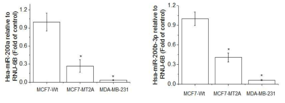 Expression of miR-200a and 200c in MCF-7-wt, MT-2A overexpressing MCF-7, and MDA-MB-231. The cells were lysed and the total miRNA was analyzed by real time-PCR. PCR amplification was performed for each sample using primers specific for human miR-200a and 200c. *p < 0.05 compared with MCF-7-wt