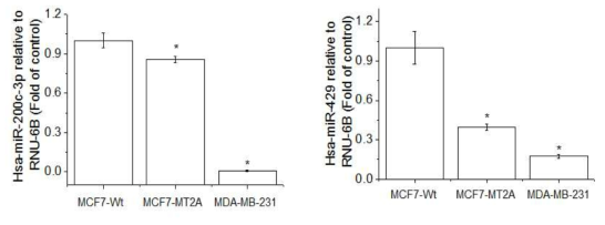Expression of miR-200c and 429 in MCF-7-wt, MT-2A overexpressing MCF-7, and MDA-MB-231. The cells were lysed and the total miRNA was analyzed by real time-PCR. PCR amplification was performed for each sample using primers specific for human miR-200c and 429. *p < 0.05 compared with MCF-7-wt