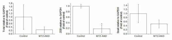 Expression of Twist, ZEB, and Snail in the tumors of MDA-MB-231 and MT-2A knockdown MDA-MB-231 xenograft groups. The tumors were lysed and the total mRNA was analyzed by real time-PCR. *p < 0.05 compared with MDA-MB-231 xenograft group
