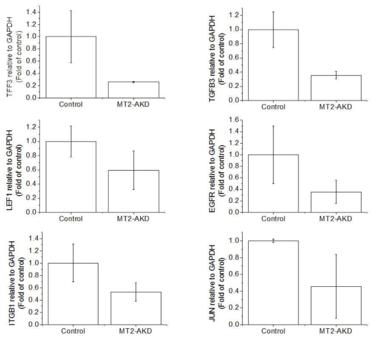 Expression of TFF3, TGFB3, LEF1, EGFR, ITGB1 and JUN in the tumors of MDA-MB-231 and MT-2A knockdown MDA-MB-231 xenograft groups. The tumors were lysed and the total mRNA was analyzed by real time-PCR. *p < 0.05 compared with MDA-MB-231 xenograft group