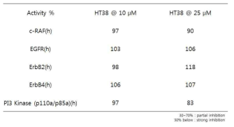 HER2 관련 단백질들에 대한 HT38의 kinase activity 저해 효능 검증