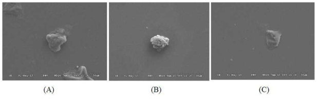 Scanning electron microscopic imagery. Cartilage pieces with fine and uniform shape and size are observed in the SEM images (X1200). There are no significant differences in the SEM images with respect to cartilage flakes before detergent treatment (A) and after 1% Triton X-100 (B) and 2% SDS (C) treatment