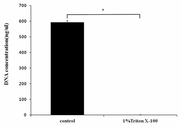 DNA concentration. DNA concentration in the 1% Triton X-100 treated decellularized xenogenic cartilage was significantly reduced to 0.94 ng/μl. (*p<0.05)