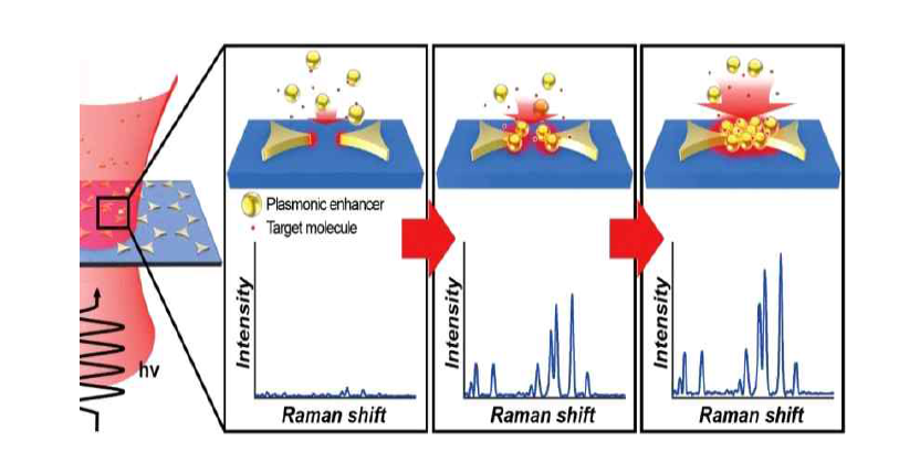 시간에 따라 플라즈몬 포획과 라만 신호의 증폭이 동시에 일어나는 모식도 및 실제 R6G신호의 증가 양상