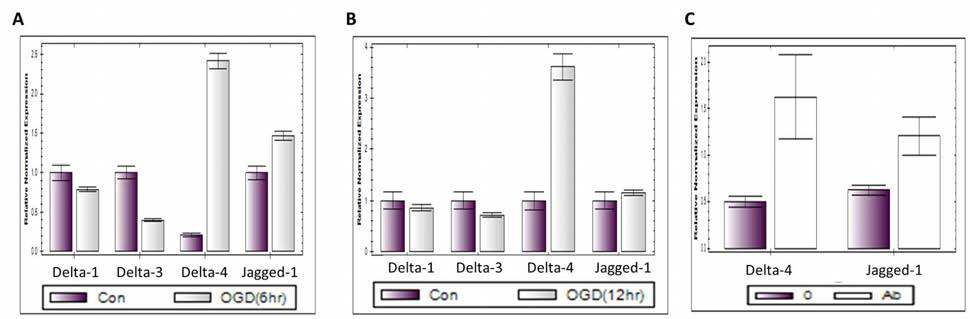 뇌 신경세포에서 OGD (6, 12hr) 조건과 Aβ (5uM) 12시간 처리 시 Notch ligand의 mRNA 변화량 관찰