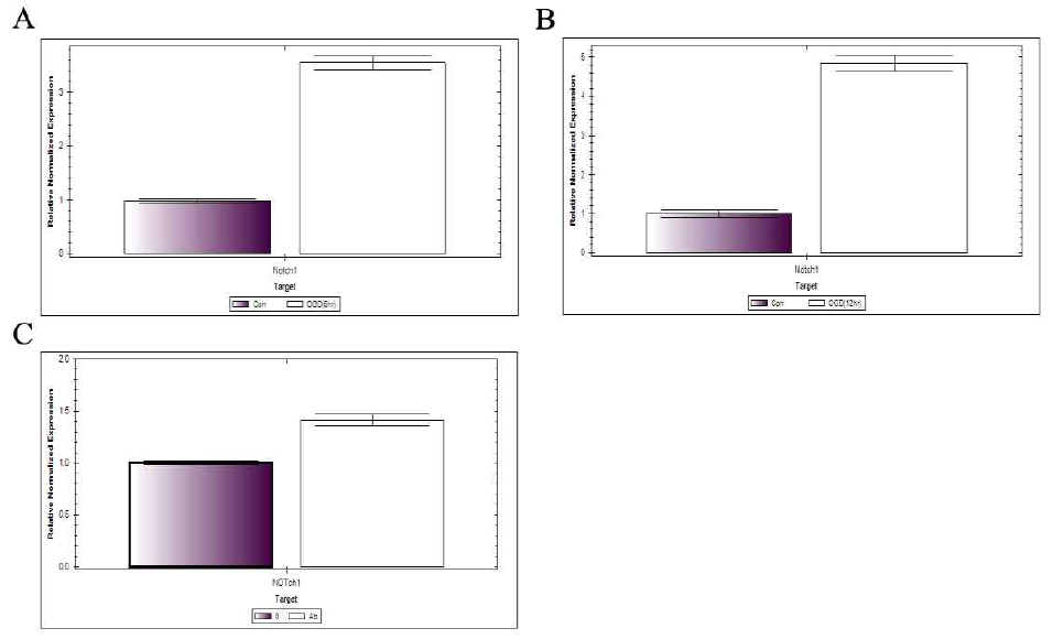 Notch1의 mRNA가 OGD환경에 6, 12시간동안 노출시 증가함을 확인 함(그림 20 A, B) 또한 Aβ(5uM)로 12시간 처리시에도 증가함을 확인 함(그림 20 c)