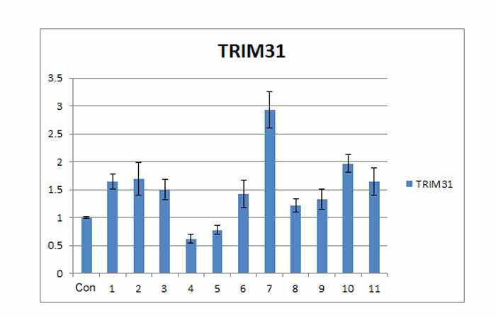 유산균에 의한 장내 면역밸런스 조절물질 TRIM31의 발현 양상에 대하여 Realtime PCR analysis를 통하여 관찰