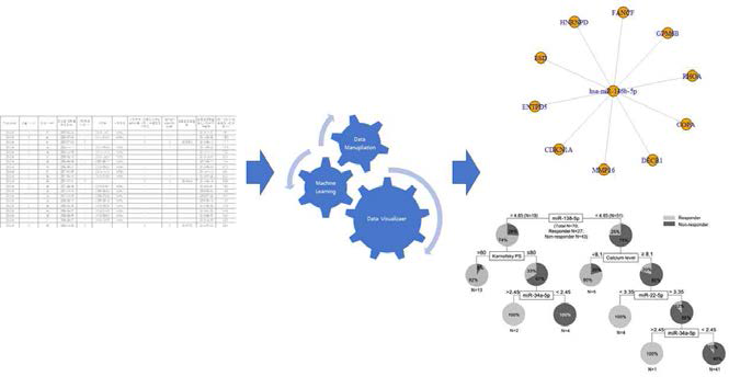 mRNA, 마이크로 RNA, 단백질 상호작용 데이터베이스 통합 분석 시스템 개발모식도