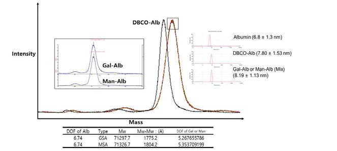 알부민 표면의 DBCO 표지 및 세포 표적 분자 표지 후 Mass Spectroscopy를 통한 stoichiometry 분석