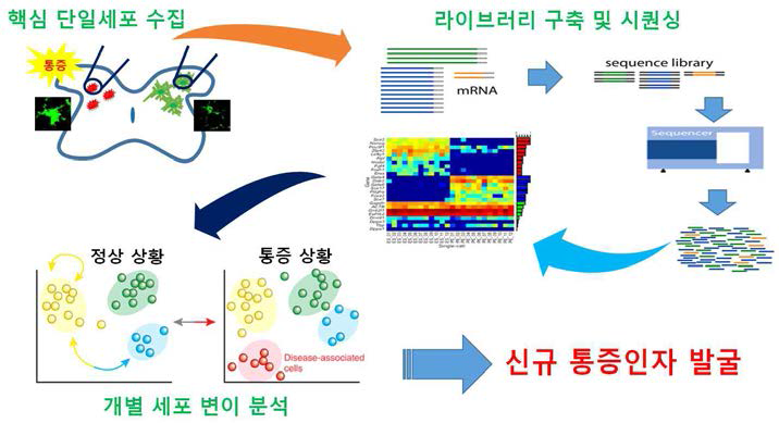 단일 세포 전사체 분석을 통한 질병 원인 인자 발굴의 개념도