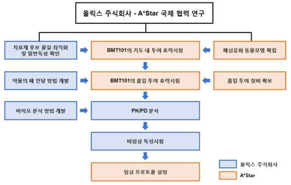 국제 협력 연구 추진 체계