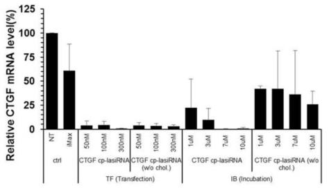 Phosphorothioate(PS) 개수에 따른 표적 유전자 억제 효율