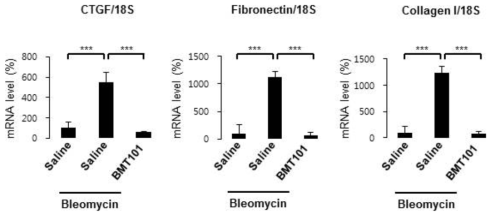 Bleomycin 및 BMT101을 투여한 폐 조직에서의 mRNA level 분석