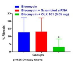 Bleomycin 및 BMT101을 투여한 폐 조직의 섬유화 정량 분석