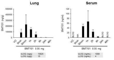 기도 내 투여 후 시간에 따른 BMT101의 폐 조직 및 혈청에서의 정량 분석